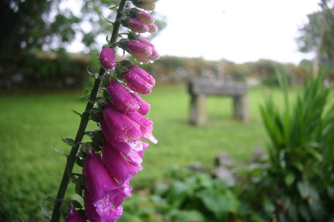 Wicklow Way Lodge Buitenkant foto